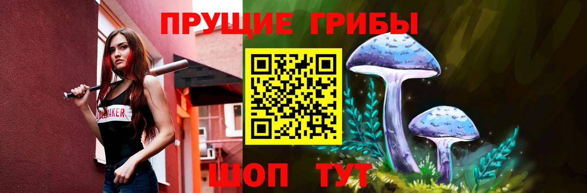 Елец  Псилоцибиновые грибы Cubensis  Псилоцибиновые грибы Psilocybine cubensis  Вход с VPN 